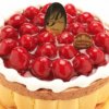 CASA MINGO_カサミンゴー_最高級洋菓子 ヴァルトベーレ木苺チョコレートケーキ