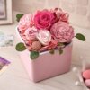 日比谷花壇_フラワーキューブ・ピンク_商品写真