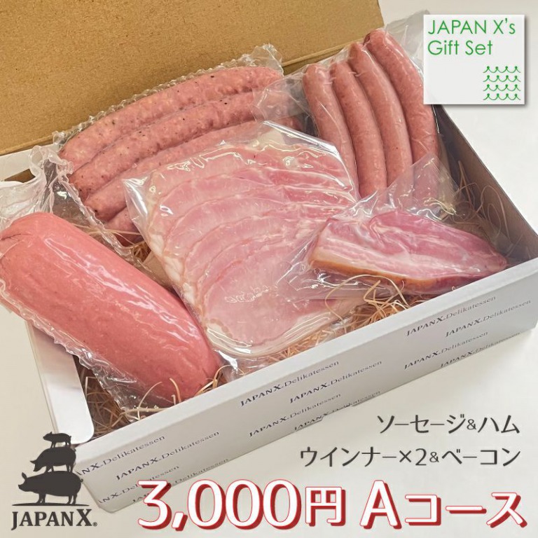 JAPAN X_3000円コース