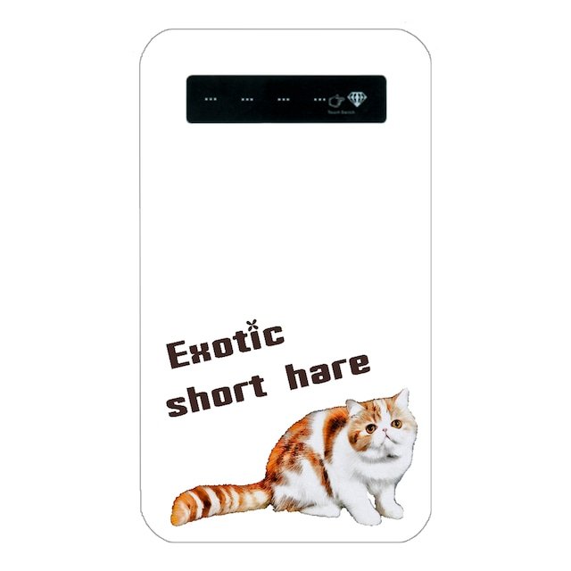 キジトラネコ レオの店エキゾチックショートヘア猫のモバイルバッテリー_商品画像