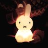 Mr MariaFIRST LIGHT miffy and friends / MIFFY_商品画像
