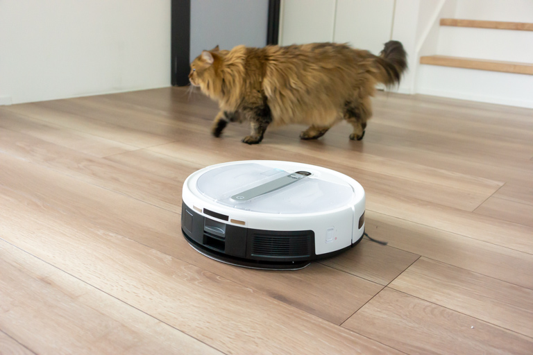 yeedi cube_ロボット掃除機が猫を避けて動いている様子